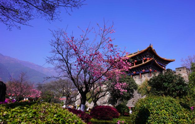  ‘Phong – Hoa – Tuyết – Nguyệt’ – tứ đại mỹ nhân trứ danh của đất Đại Lý