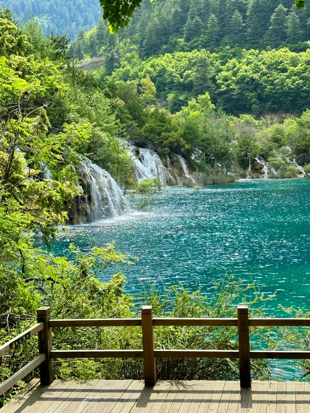 cửu trại câu 3