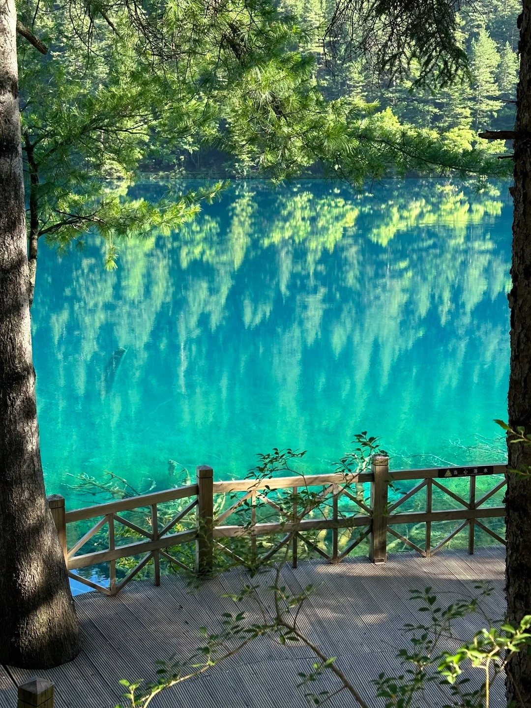 cửu trại câu 5