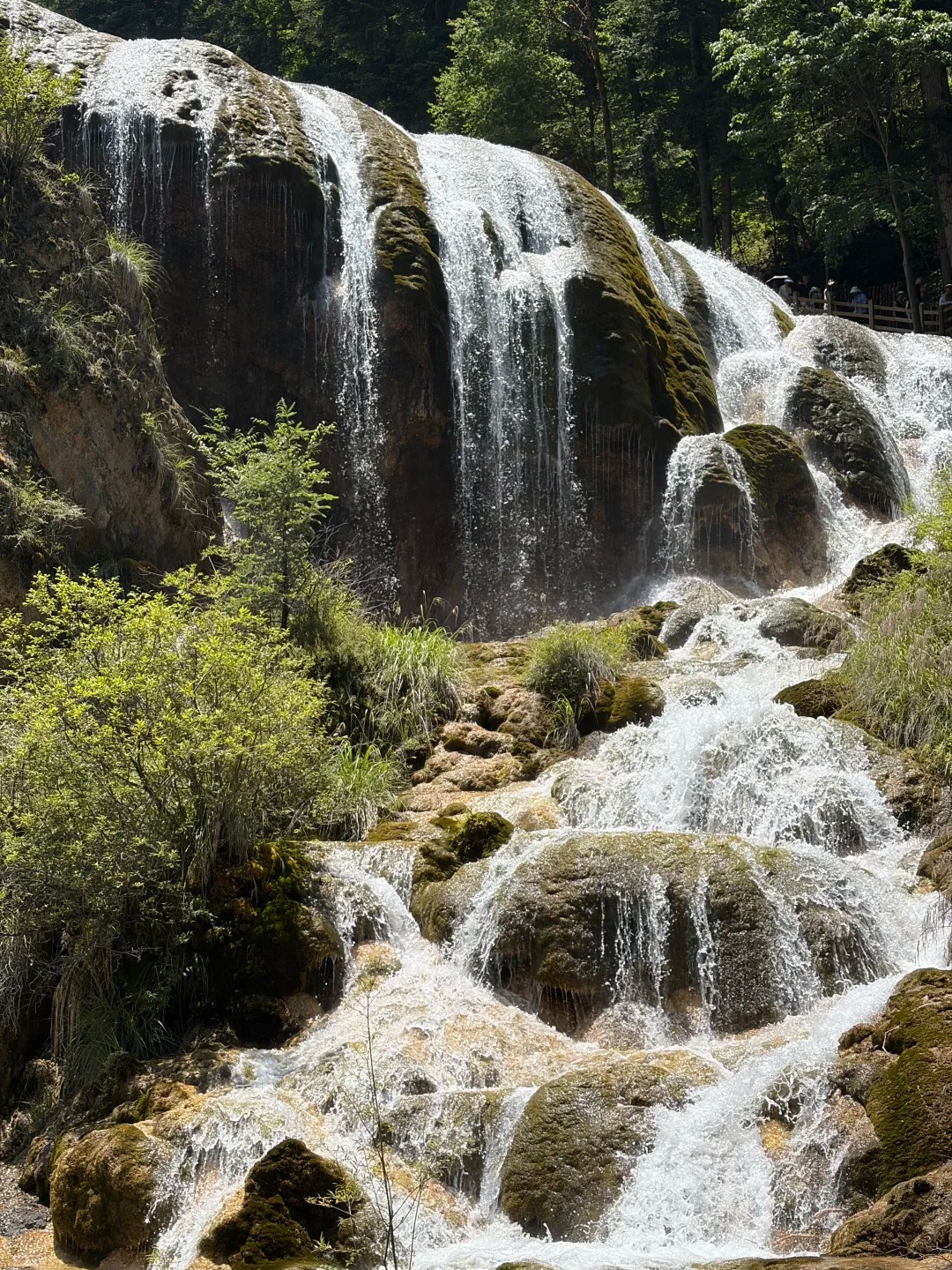 cửu trại câu 6