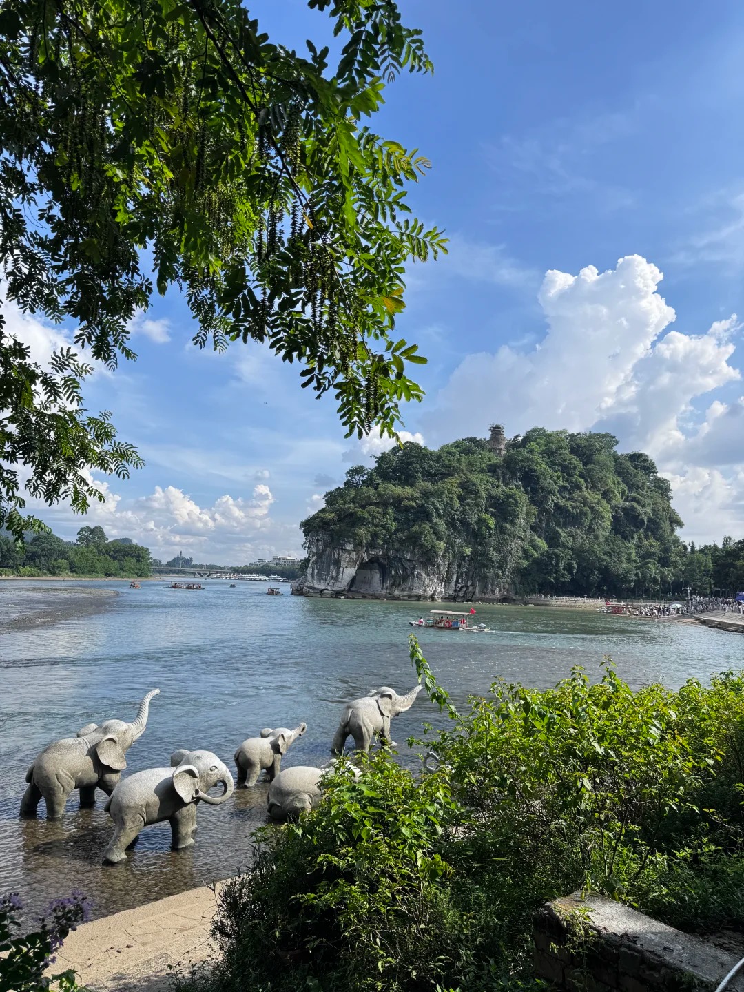 núi vòi voi quế lâm 2