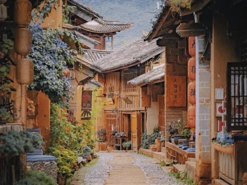 hy-chau-co-tran-trung-quoc-05-1719184566 (1)